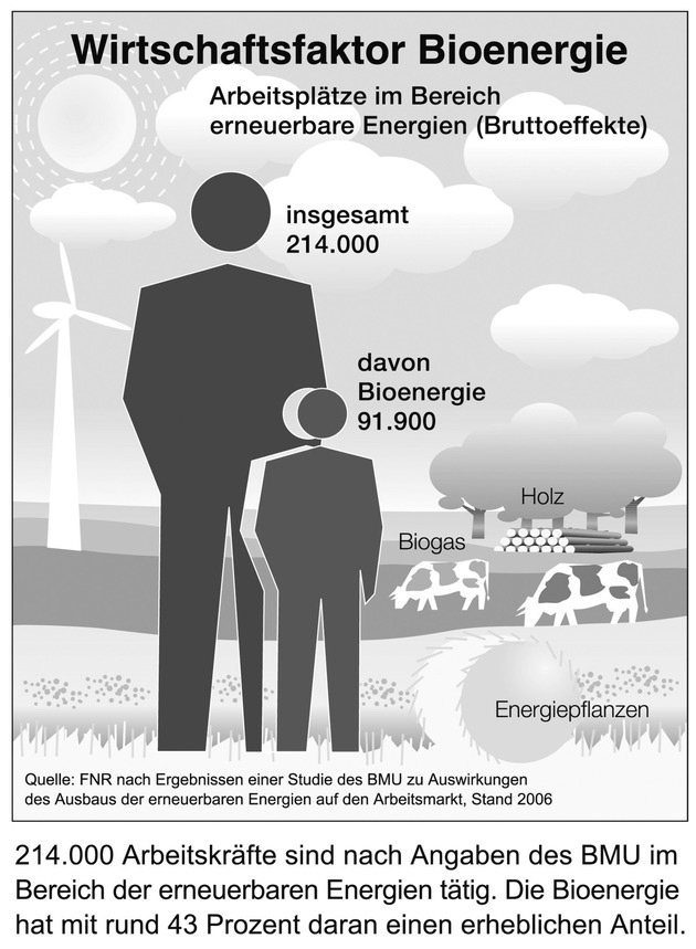 Wirtschaftsfaktor Bioenergie