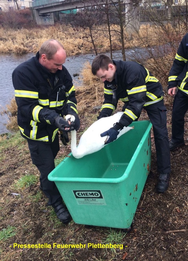 FW-PL: OT Holthausen/Ohle. Kollision zwischen LKW und PKW. Schwan in Notlage