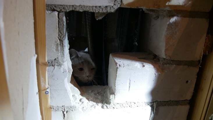 FW Celle: Aufwendiger Rettungseinsatz - Katze in Schornstein gefallen