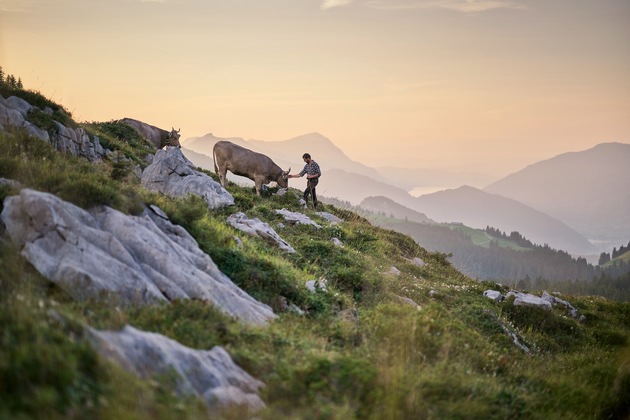 Ächt Schwyz: Neuer Verein fördert regionale Produkte