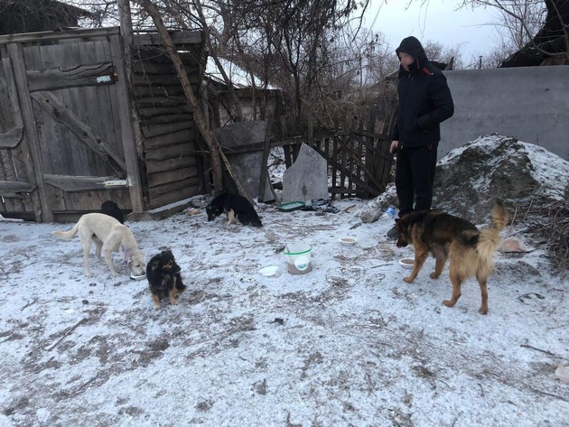 QUATRE PATTES et ses partenaires apportent un soutien urgent aux refuges pour animaux en Ukraine