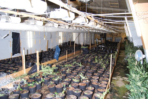 POL-NOM: Cannabisplantage in ehemaligem Fabrikgelände entdeckt - Bilder im Anhang