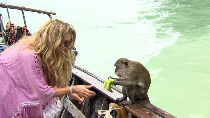 Schwindelerregende Höhen - Eine neue Folge von &quot;Die Geissens&quot; bei RTL II