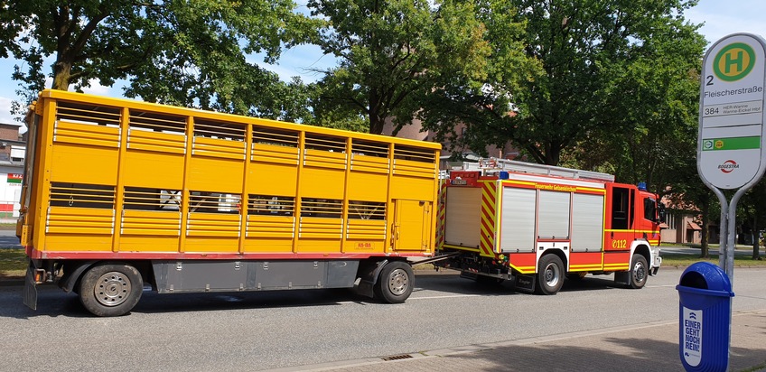 FW-GE: Umfangreiche technische Hilfeleistung bei einem LKW auf der Grothuesstraße in Schalke - Leerer Schweinetransporter hebt ab