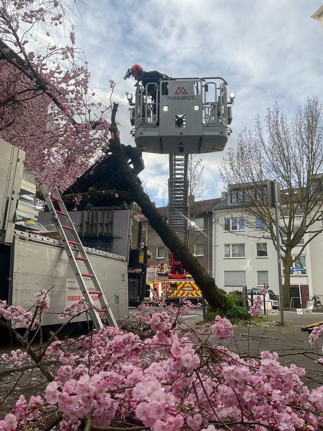 FW-DO: LKW bleibt in Baum h&auml;ngen - Beliebtes Fotomotiv muss gef&auml;llt werden