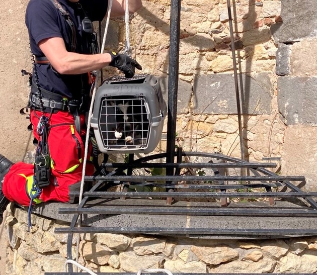 FW-F: Katze aus Brunnen gerettet