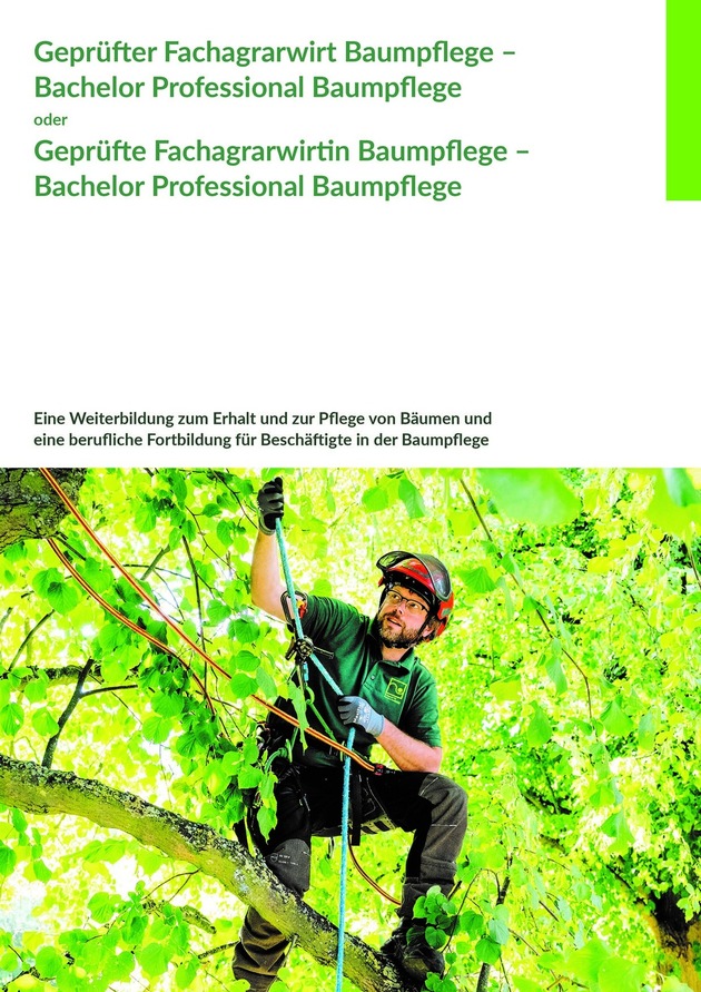 Veröffentlicht: Neuer Rahmenstoffplan Bachelor Professional Baumpflege