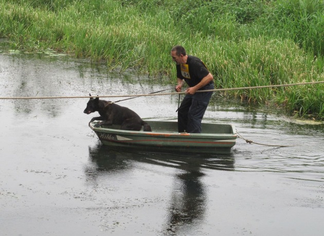 POL-NI: Trotz Dauerregen gute Ergebnisse beim neunten Vielseitigkeitswettkampf der Diensthundführer und -führerinnen -Bilder im Download-