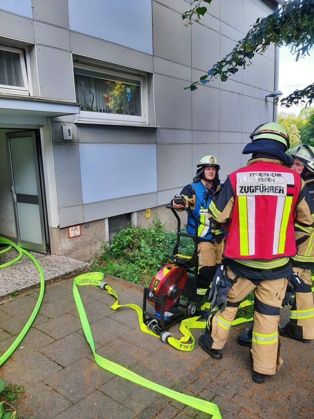FW-E: Feuerwehr Essen löscht zwei Zimmerbrände gleichzeitig - eine Katze gerettet
