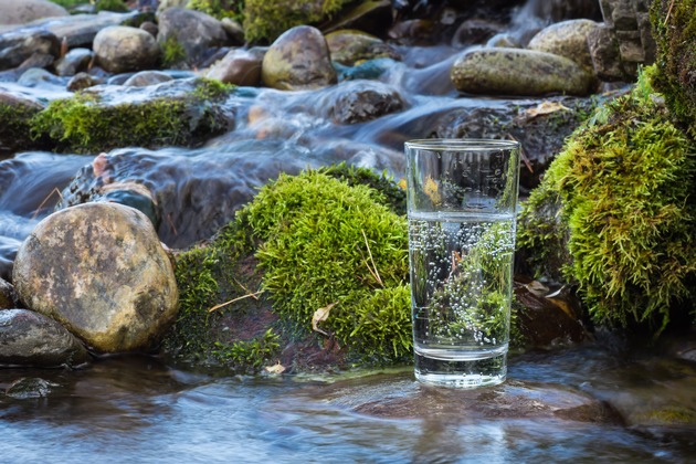aquaRömer zum Weltwassertag: ​„Der Schutz unserer Quellen hat Priorität“