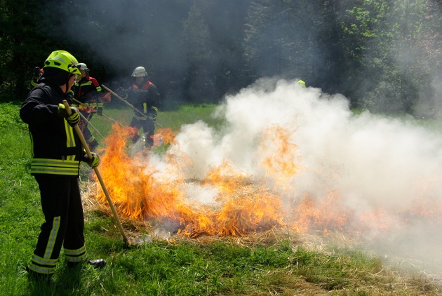 FW-LFVSH: Extreme Hitze und hohe Vegetationsbrandgefahr - Feuerwehr ruft zur Achtsamkeit auf