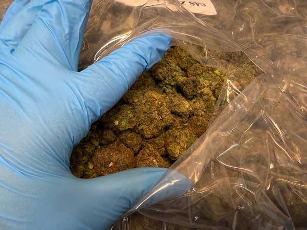 HZA-K: Kölner ZOLL findet am Tag der Deutschen Einheit Drogen für rund 2,1 Millionen Euro in Paketen/Mehr als 83 Kilo Marihuana, fast zehn Kilo Haschisch und knapp zwei Kilo Cannabis-Paste sichergestellt