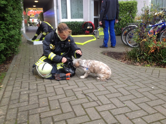 FW-D: Angebranntes Essen: Feuerwehr rettet Hund
