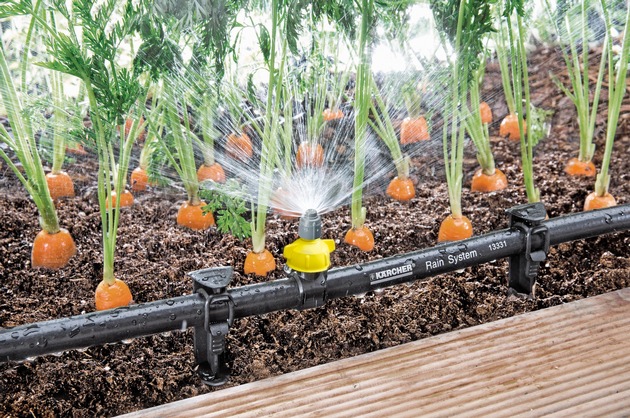 Pressemitteilung: Versorgung von Balkonpflanzen und Beeten während der Urlaubszeit