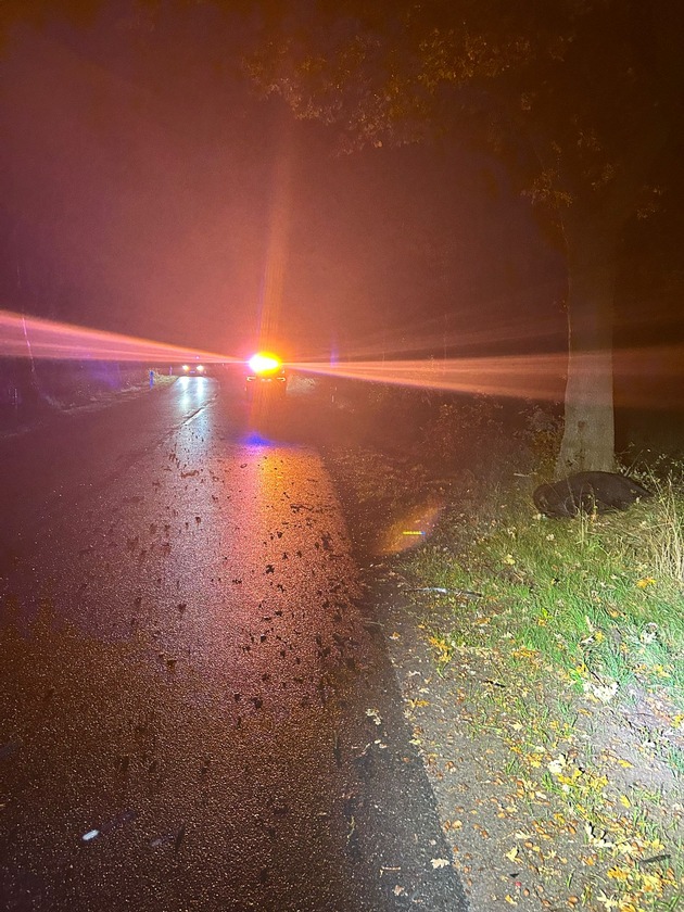 POL-WHV: Zwei verletzte Personen nach Verkehrsunfall mit entlaufenen Rindern in Schortens