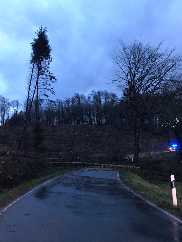 FW Lügde: Mehrere umgestürzte Bäume beschäftigen Feuerwehr Lügde