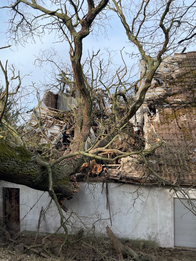 POL-PPWP: Baum stürzt in unbewohntes Gebäude