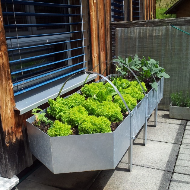 BÖGART: Flexible Hochbeete für Garten und Balkon (Bild)