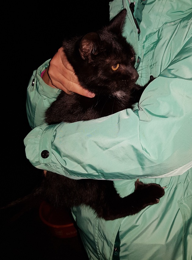 FW-EN: Katze von Silo gerettet