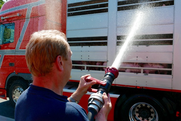 FW-GE: Schweine in Not - Feuerwehr Gelsenkirchen hilft 500 Schweinen in überhitztem Tiertransporter