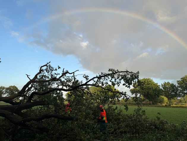 FW-AUR: Straße von umgestürzten Baum freigeräumt