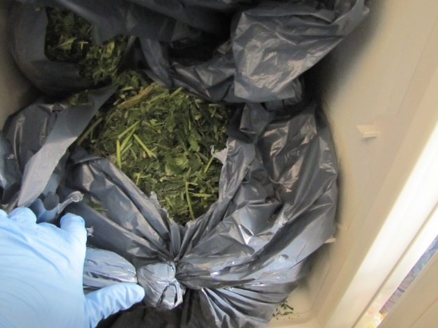 POL-F: 120319 - 374 Fechenheim: Profi-Cannabisplantage ausgeräumt und Täter festgenommen - Fotos beachten!