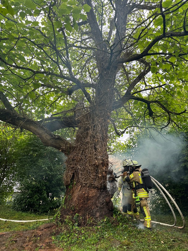 FW Weinheim: Baumbrand im Kastanienweg erfordert aufwendigen Löscheinsatz