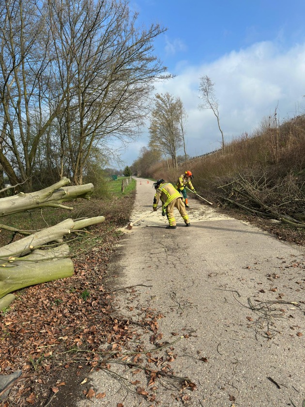 FW Weinheim: Umgest&uuml;rzter Baum blockiert Fahrbahn in der Boh&auml;ckersiedlung