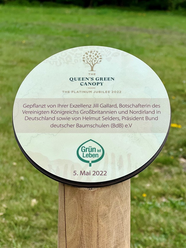 The Queen&#039;s Green Canopy: Erster Baum in Deutschland gepflanzt
