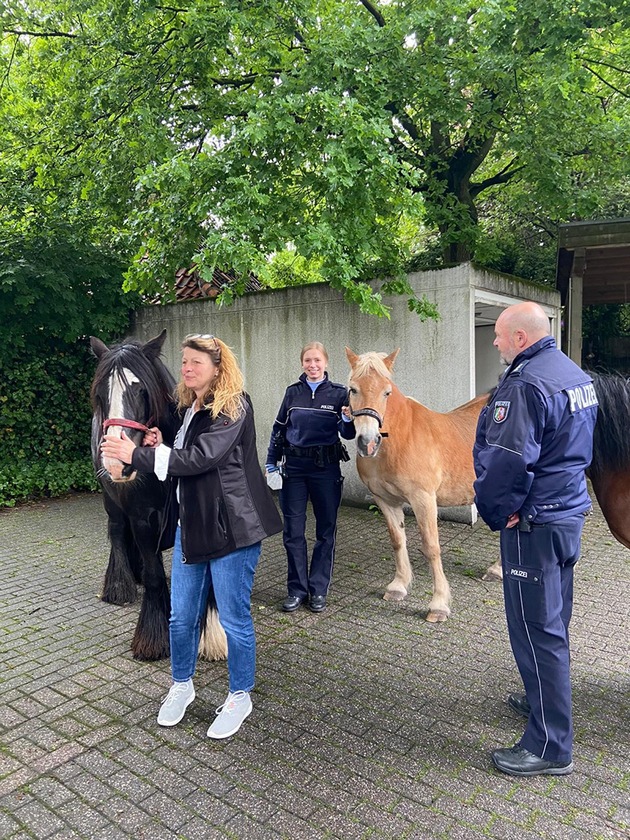 POL-ST: Pferde im Hof der Polizeiwache Emsdetten