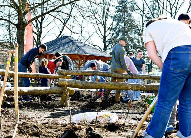 BAUHAUS pflanzt Waldinsel in Dresden