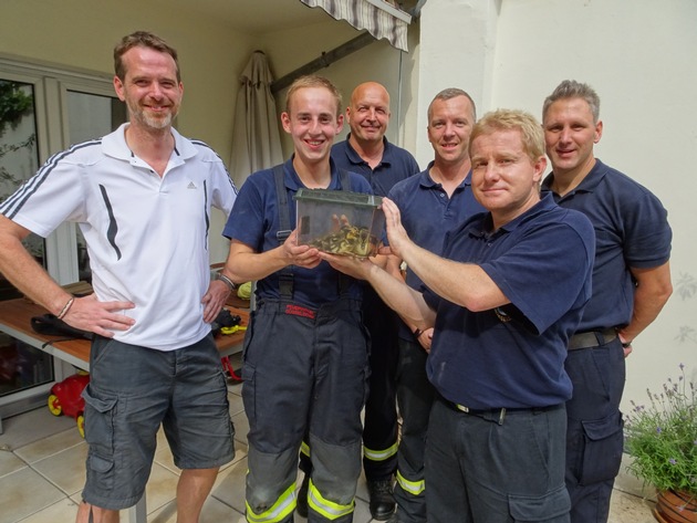 FW-D: Entenmama in Not - Feuerwehr und Tiernotruf retten komplette Entenfamilie auf der Parkstraße