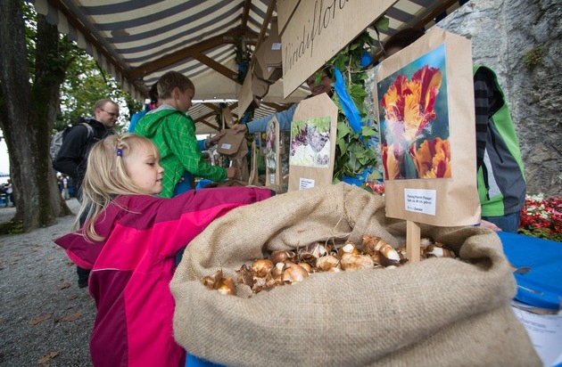 Museum Aargau: Rare, alte und besondere Tulpensorten / Schloss Wildegg lädt am 27./28. September zum grossen Tulpenzwiebelmarkt mit GeNUSS (BILD)