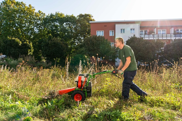 Erster zertifizierter Fachbetrieb für Planung von naturnahem Grün in Berlin 🏢🏡🌿