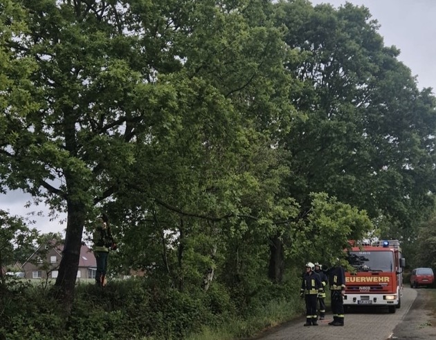 FW-AUR: Größerer Ast droht auf Fahrbahn zu stürzen