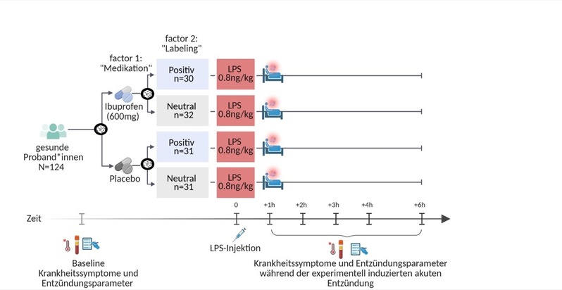 Kommunikation verstärkt die Wirkung von Ibuprofen