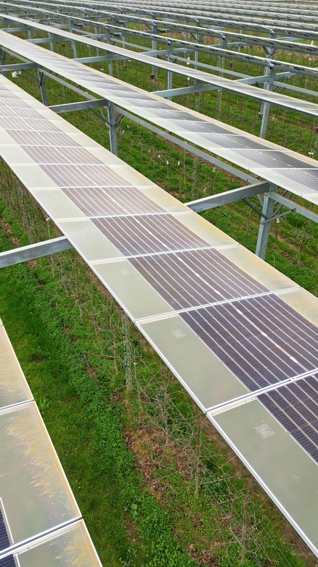 Solarstrom über Apfelbäumen: Zukunftspreis sucht Vorreiter der Energiewende