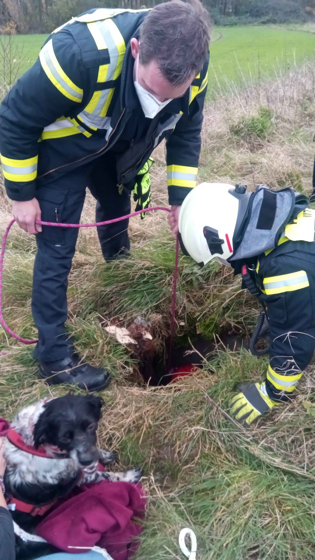 FW Witten: Hund stützt drei Meter tief in Kanalschacht