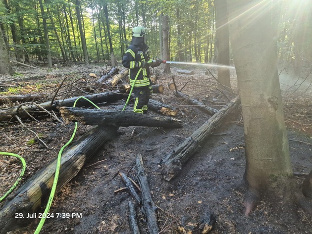 FW-AR: Feuerwehr Ense und Arnsberg bekämpfen Waldbrand