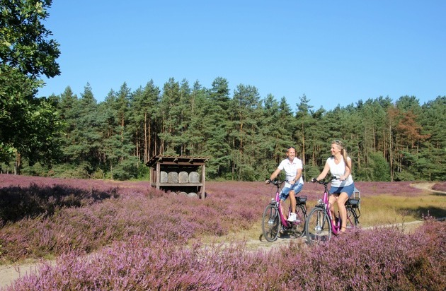 HeideRegion Uelzen e.V.: Zur Heideblüte in die Lüneburger Heide / Beschilderte Rundtouren führen Radurlauber zu den schönsten Plätzen