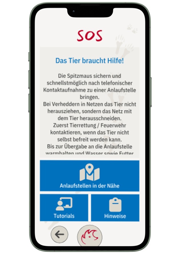 DBU: Schnelle Hilfe f&uuml;r Wildtiere per App