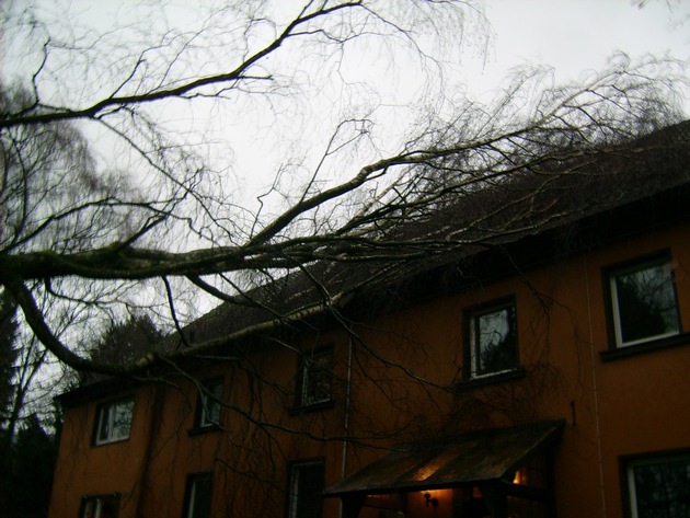 FW Mettmann: Baum stürzte auf das Dach eines Mehrfamilienhauses