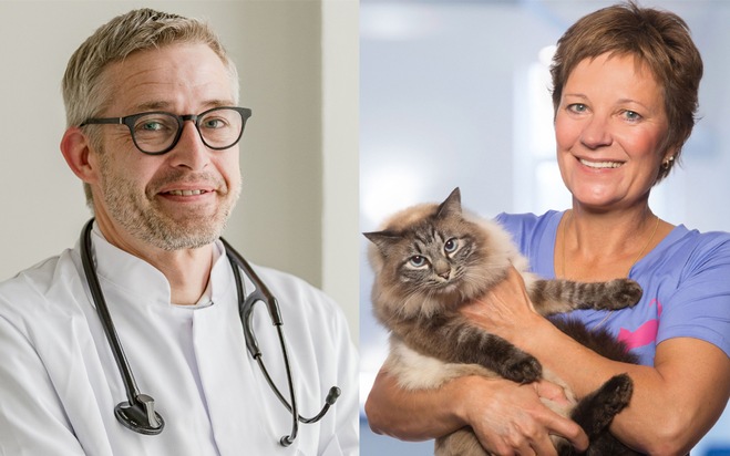 Zwei Freunde - eine Erkrankung / Am 17.05. ist Welthypertonietag: Hoher Blutdruck auch für Katzen gefährlich