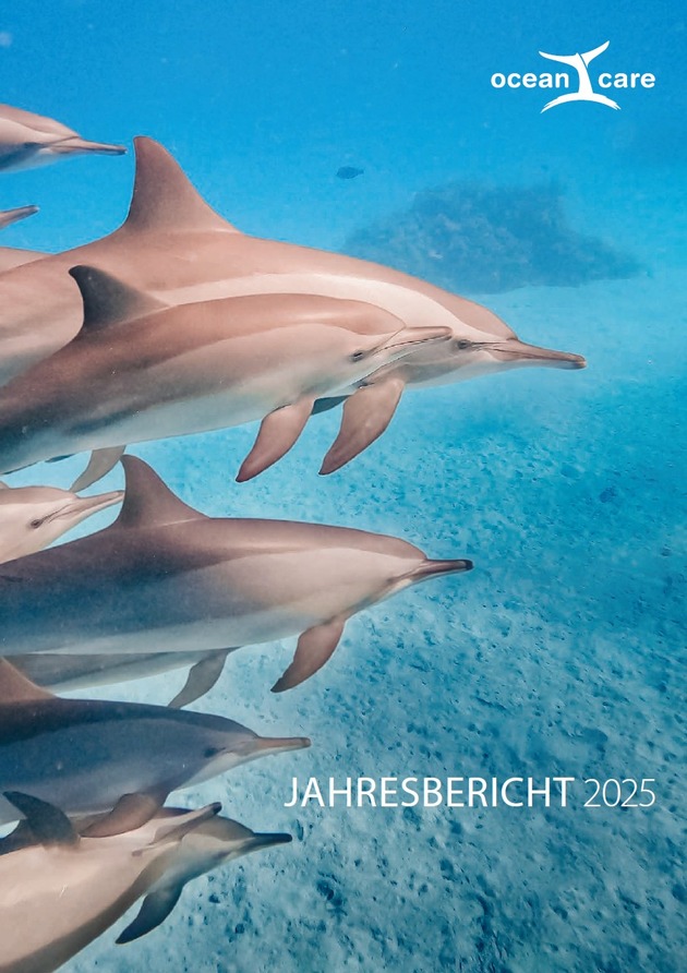 Warum musste der Buckelwal sterben? M&ouml;gliche Antworten nennt der OceanCare-Jahresbericht.