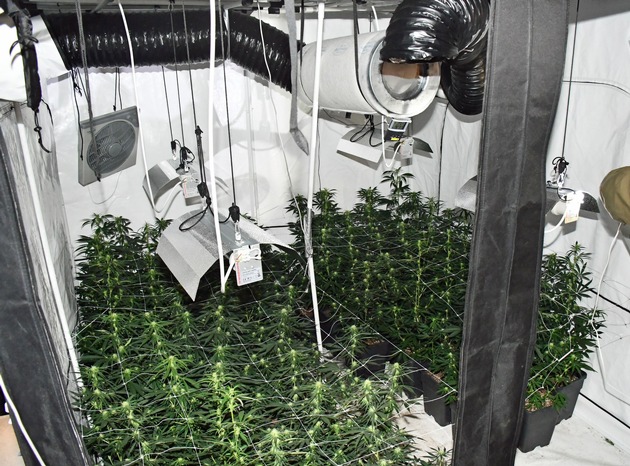 POL-ME: Nach Brandmeldung Cannabisplantage in Wohnung entdeckt - Mettmann - 2101083