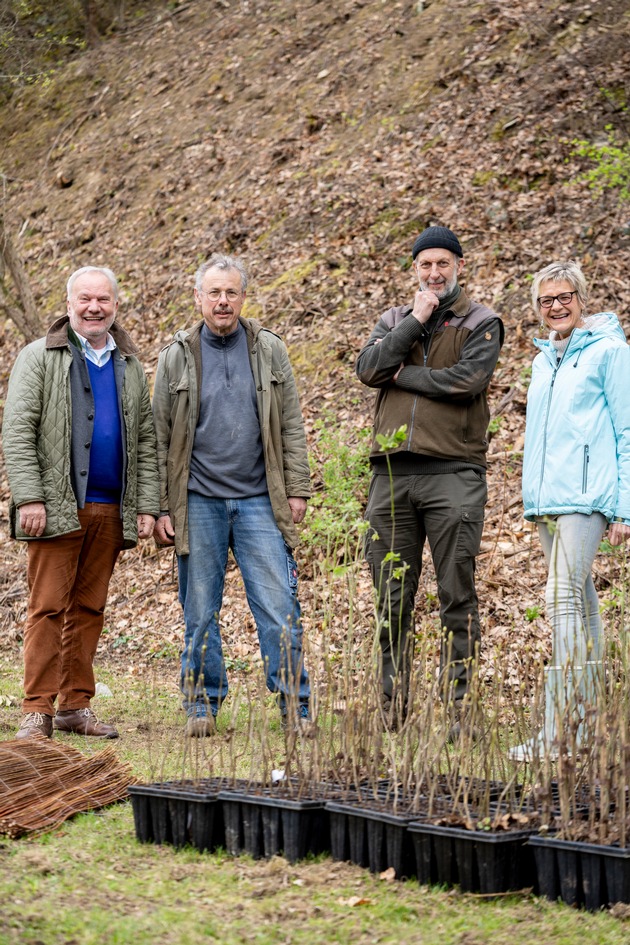 lavera unterstützt private Waldbesitzer / Pflanzprojekt am Stemmer Berg vorerst abgeschlossen