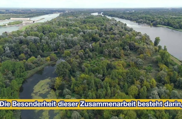 Rhinaissance: Ein europäisches Projekt für die Wiederbelebung des Rheins^