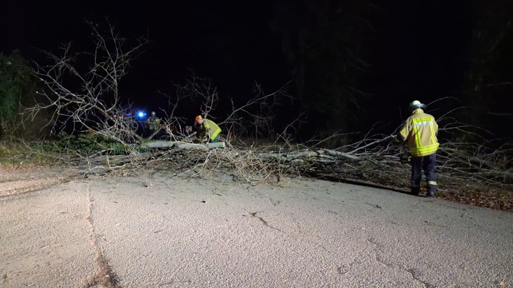 FW Weinheim: Feuerwehr Weinheim auch über die Weihnachtstage im Einsatz