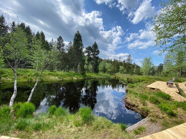 Deutschlands schönste Wanderwege – gleich drei Allgäuer Routen sind nominiert. Im Januar darf das Publikum wählen.