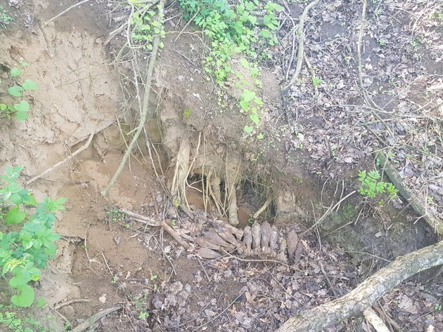 POL-ANK: Munitionsfund im Waldstück bei Grambow
